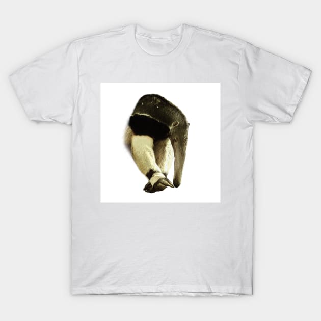 Giant anteater T-Shirt by Guardi